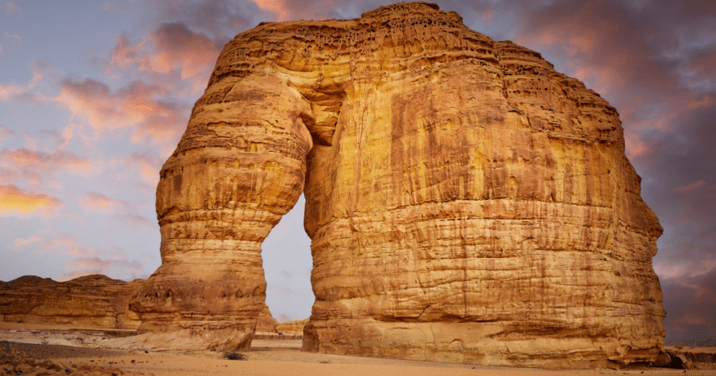 Saudi Arabia Investor Residency Program