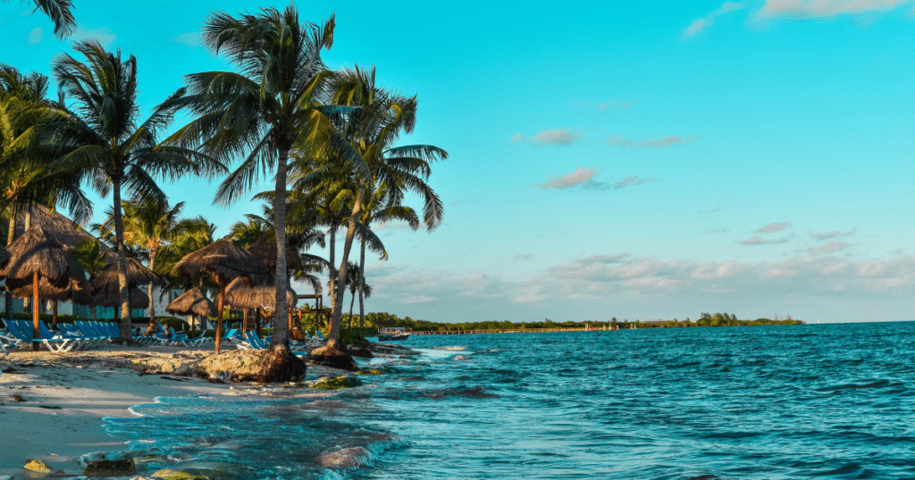 Caribbean Citizenship Programs