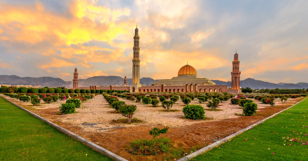 Middle East Investor Residency Programs