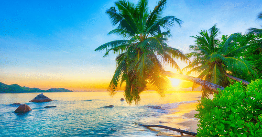 African Residency Programs