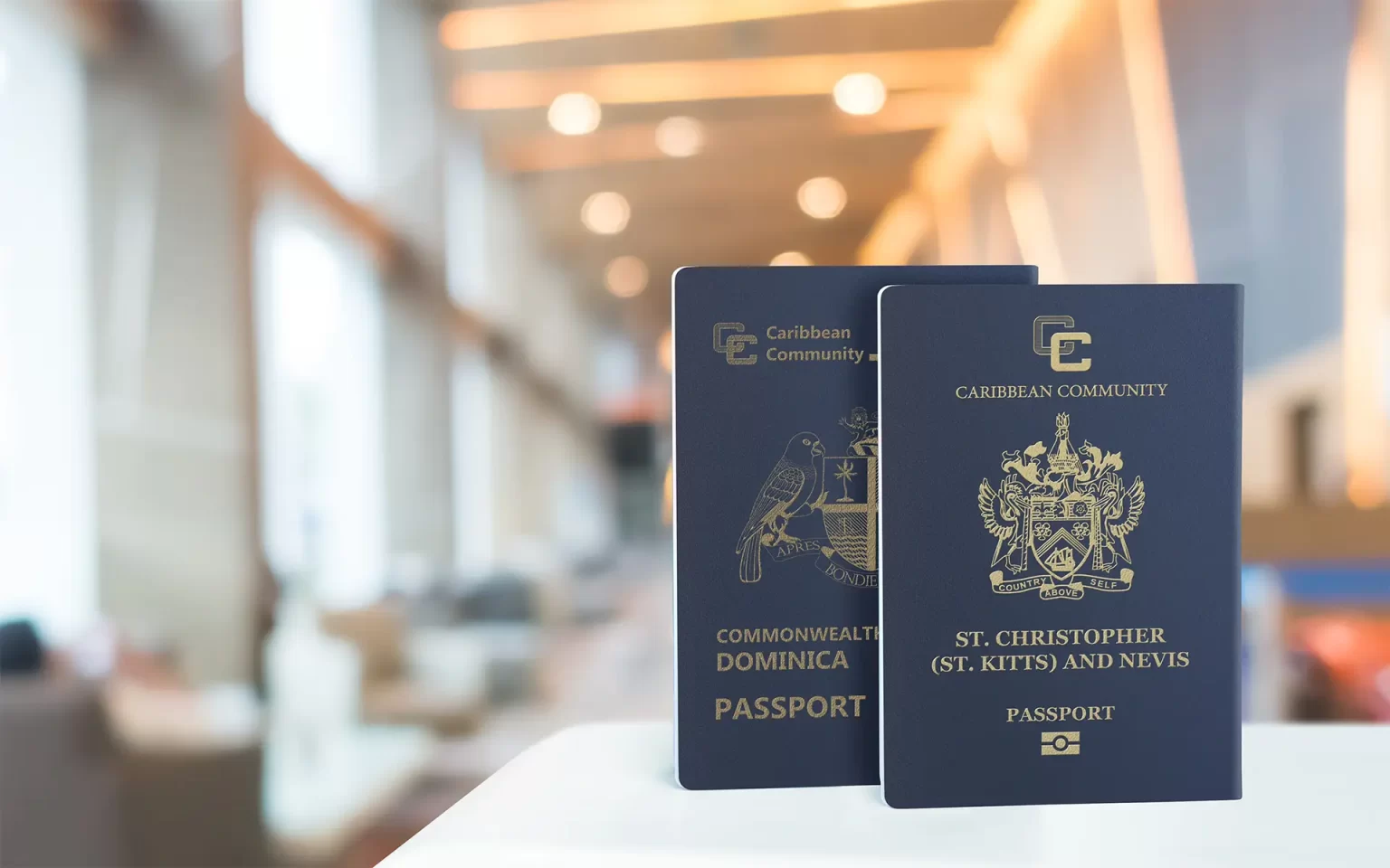 How Residence by Investment Works (Step-by-Step)​