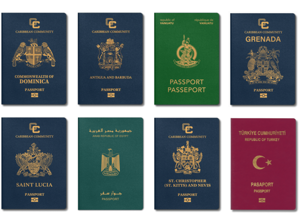 citizenship by investment  Programs